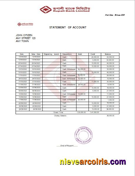 India Rupali Limited fake bank statement Word and PDF